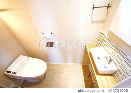A clean and tidy toilet 109731696