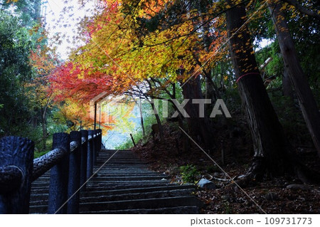 The stone steps of the approach covered in autumn leaves The stone steps of the approach covered in autumn leaves 109731773