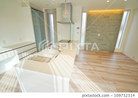 Stylish kitchen of a pet living designer's house 109732314