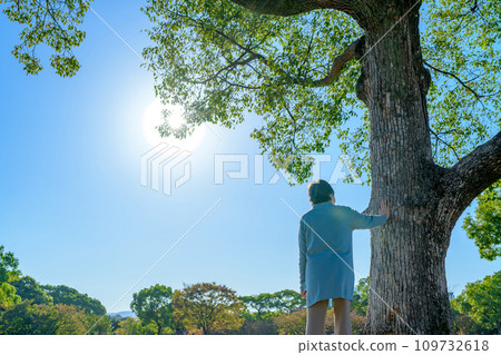 A senior woman rests her hand on a large tree and thinks about it. Fresh green park. Healthy habits. Walking. Remembering the deceased. End of life. A soft morning. A senior woman rests her hand on a large tree and thinks about it. Fresh green park. Healthy habits. Walking. Remembering the deceased. End of life. A soft morning. 109732618