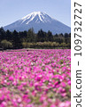 Mount Fuji and mushrooms 109732727