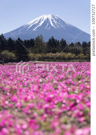 富士山和蘑菇 富士山和蘑菇 109732727