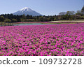 Mount Fuji and mushrooms 109732728
