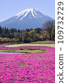 Mount Fuji and mushrooms 109732729