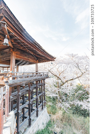 Otsu City, Shiga Prefecture, Miidera, moon-viewing stage and cherry blossom scenery Otsu City, Shiga Prefecture, Miidera, moon-viewing stage and cherry blossom scenery 109733725
