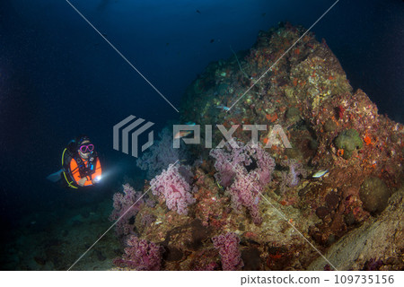 Young woman scuba diving on a beautiful soft coral reef in South Andaman, Thailand Young woman scuba diving on a beautiful soft coral reef in South Andaman, Thailand 109735156