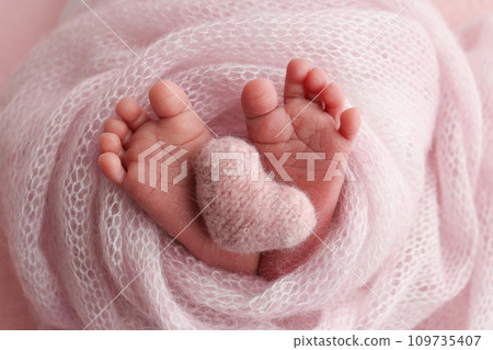 The tiny foot of a newborn baby. Soft feet of a new born in a pink wool blanket. Close up of toes, heels and feet of a newborn. Knitted pink heart in the legs of a baby. Studio macro photography. The tiny foot of a newborn baby. Soft feet of a new born in a pink wool blanket. Close up of toes, heels and feet of a newborn. Knitted pink heart in the legs of a baby. Studio macro photography. 109735407