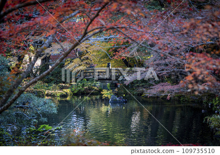 detail of Naritasan Park in Narita 109735510