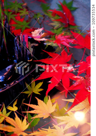 Autumn leaves floating in water Autumn leaves floating in water 109735534