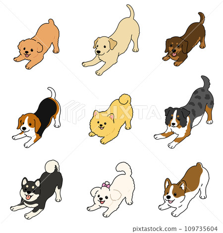Hand-drawn illustration set B of a simple and cute dog that invites you to play, with main lines 109735604