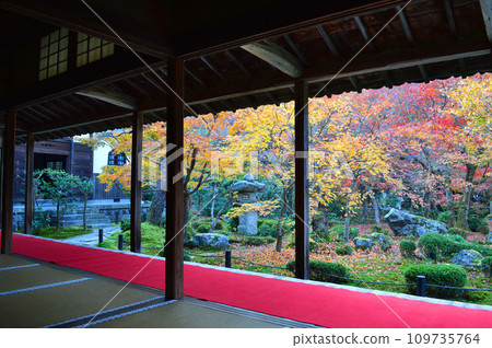Autumn foliage garden at Enkoji Temple in Rakuhoku, Kyoto City 109735764