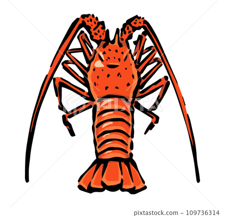大龍蝦手繪插畫 109736314