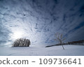 Scenery of Biei, Hokkaido 01_Snow field and trees 109736641