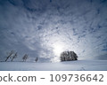Scenery of Biei, Hokkaido 02_Snow field and trees 109736642