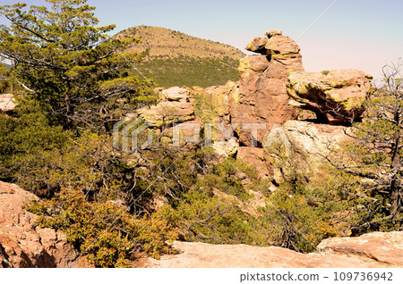 Chiricahua National Monument Arizona Chiricahua National Monument Arizona 109736942
