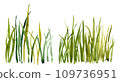 Watercolor hand drawn green grass 109736951