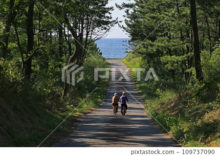 AI-generated image of a senior couple riding bicycles on the road leading to the sea 109737090