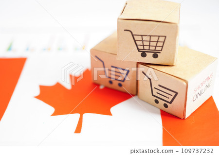 Online shopping, Shopping cart box on Canada flag, import export, finance commerce. Online shopping, Shopping cart box on Canada flag, import export, finance commerce. 109737232