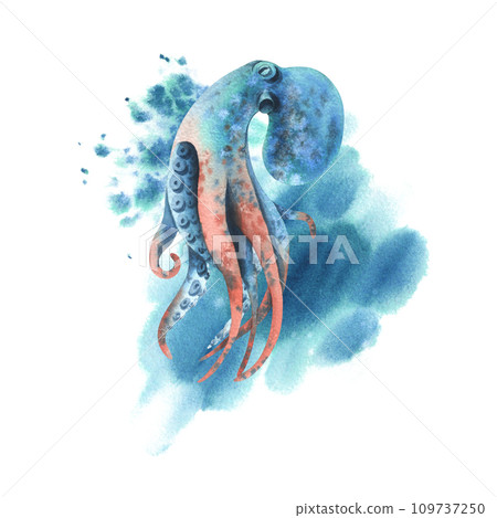 Underwater world clipart with sea animals whale, turtle, octopus, seahorse, starfish, shells, coral and algae. Hand drawn watercolor illustration. Isolated composition on a white background. 109737250