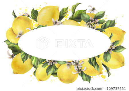 Lemons are yellow, juicy, ripe with green leaves, flower buds on the branches, whole and slices. Watercolor, hand drawn botanical illustration. Frame, template on a white background. 109737331