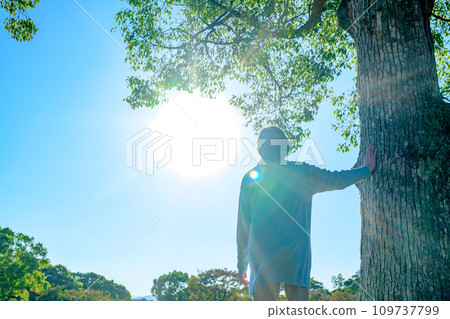 一位老婦人把手放在一棵大樹上思考。新鮮的綠色公園。健康的習慣。步行。紀念死者。仰望生命的盡頭。早晨。 一位老婦人把手放在一棵大樹上思考。新鮮的綠色公園。健康的習慣。步行。紀念死者。仰望生命的盡頭。早晨。 109737799