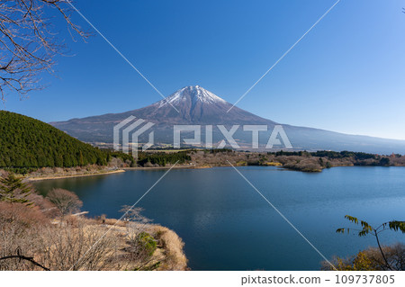 從狸湖/狸展望台看到的深秋富士山 靜岡郡富士宮市 109737805