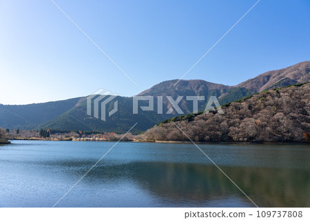 深秋的狸湖 靜岡縣富士宮市 109737808