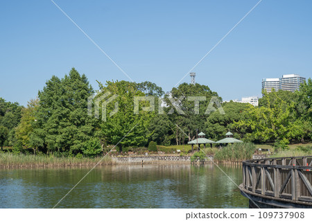 仲夏的柏之葉公園 109737908