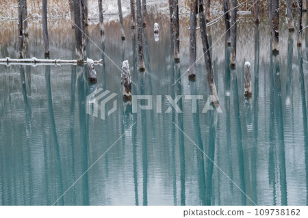 美瑛町白雪藍池 109738162