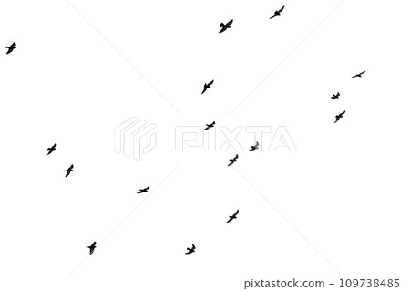 Flock of birds flying isolated on white background Flock of birds flying isolated on white background 109738485