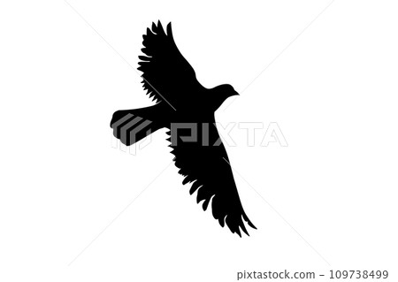 bird flying isolated on white background bird flying isolated on white background 109738499