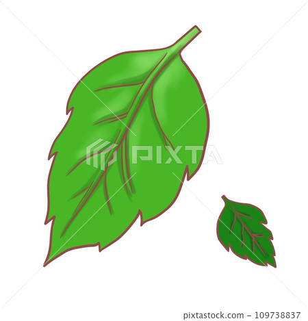 2片綠葉 2片綠葉 109738837