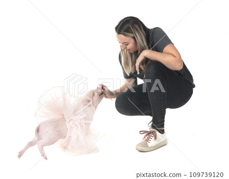 miniature pig and woman miniature pig and woman 109739120