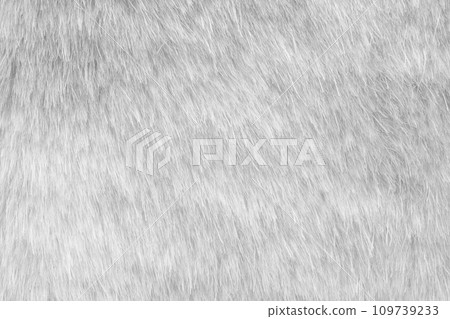 White fur fabric texture background White fur fabric texture background 109739233