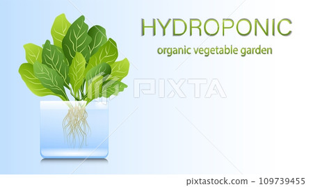 Portable hydroponic aeroponic system for eco-friendly growing of green lettuce, vegetables and herbs. organic vegetable garden 109739455