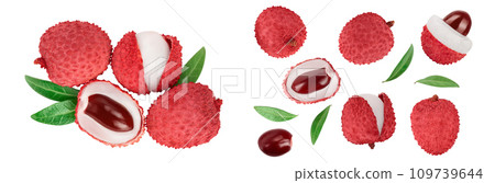 lychee fruit isolated on white background. Top view. Flat lay 109739644