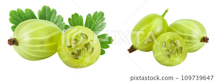 Green gooseberry with half isolated on white background with full depth of field Green gooseberry with half isolated on white background with full depth of field 109739647