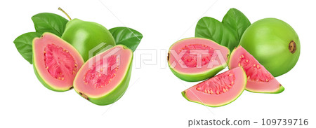Guava fruit isolated on white background with full depth of field Guava fruit isolated on white background with full depth of field 109739716