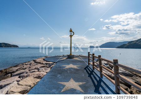 Star beach 109739848