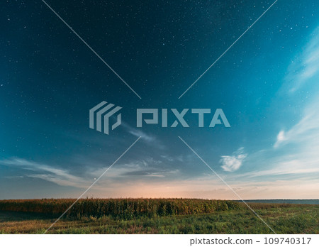 Real Night Starry Sky Above corn Field maize Plantation. Natural Glowing Stars Above Rural Landscape. Agricultural Landscape under Starry Sky. 109740317