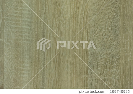 Wooden boards texture in green paint background plank pattern abstract 109740935