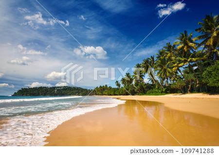 Idyllic beach. Sri Lanka Idyllic beach. Sri Lanka 109741288