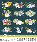 Hand drawn vector illustration set of white zodiac signs. New Year, Zodiac signs, New Year's cards 109741654