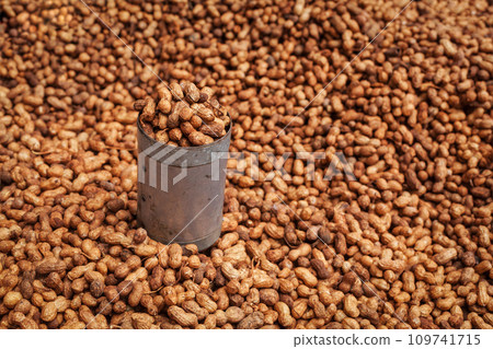 Fried peanuts sold in Indian street Fried peanuts sold in Indian street 109741715
