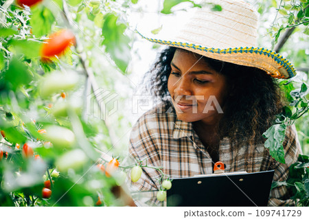 An adept millennial agronomist working quality inspector assesses cherry tomatoes in greenhouse documenting data on a clipboard. Portrait of conscientious farmer ensuring excellent produce quality. 109741729