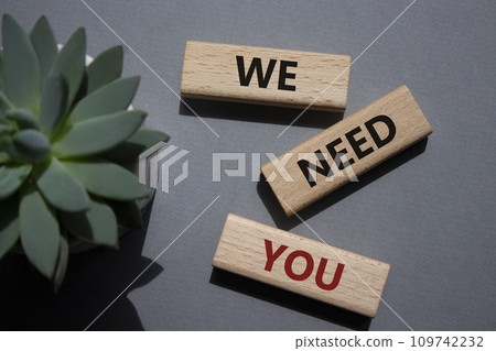 We need You symbol. Wooden blocks with words We need you. Beautiful grey background with succulent plant. Business and We need You concept. Copy space We need You symbol. Wooden blocks with words We need you. Beautiful grey background with succulent plant. Business and We need You concept. Copy space 109742232