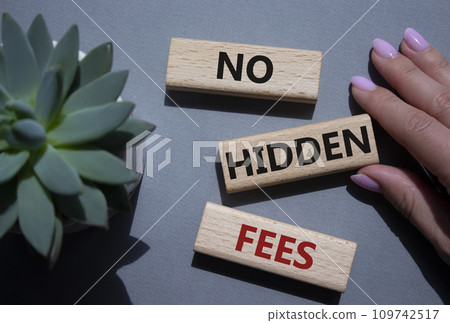 No Hidden Fees symbol. Concept words No Hidden Fees on wooden blocks. Businessman hand. Beautiful grey background with succulent plant. Business and No Hidden Fees concept. Copy space. 109742517