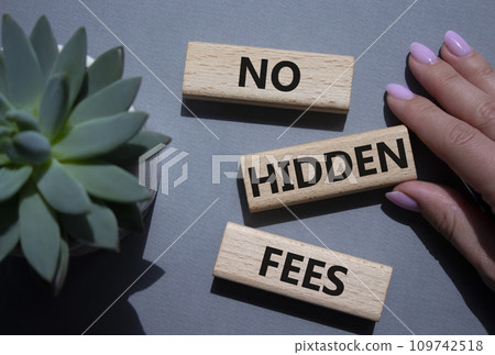 No Hidden Fees symbol. Concept words No Hidden Fees on wooden blocks. Businessman hand. Beautiful grey background with succulent plant. Business and No Hidden Fees concept. Copy space. 109742518