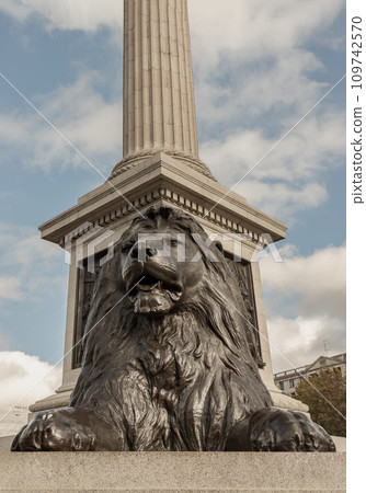 One of the four landseer bronze lions statue at the base of Nelson's column in front of National Gallery building. 109742570
