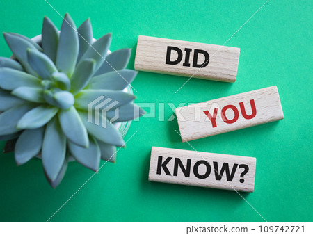 Did you know symbol. Wooden blocks with words Did you know. Beautiful green background with succulent plant. Business and Did you know concept. Copy space. Did you know symbol. Wooden blocks with words Did you know. Beautiful green background with succulent plant. Business and Did you know concept. Copy space. 109742721